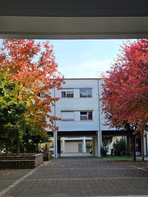 WhatsApp Image 2025-03-22 at 17.42.51_80cb16b8